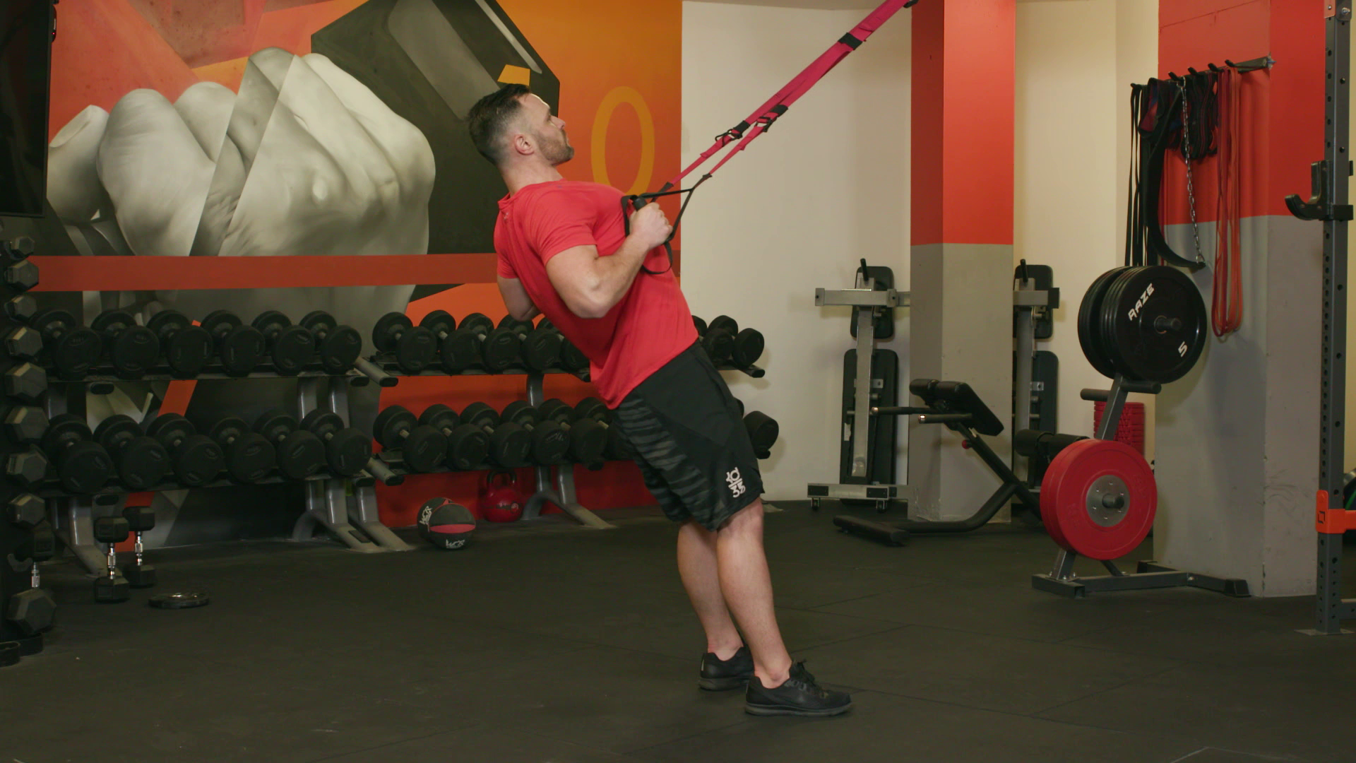 Create an exercise library for your fitness apps and online workouts.